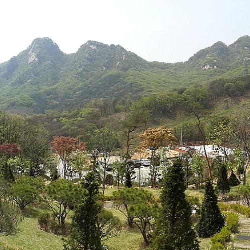 수목장 자연장 by 하늘향 추모공원