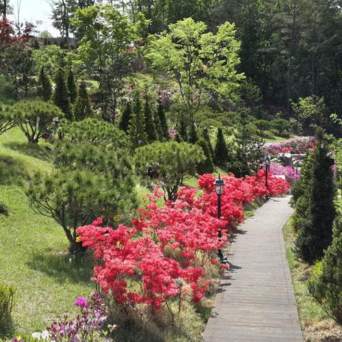 수목장 자연장 by 하늘향 추모공원