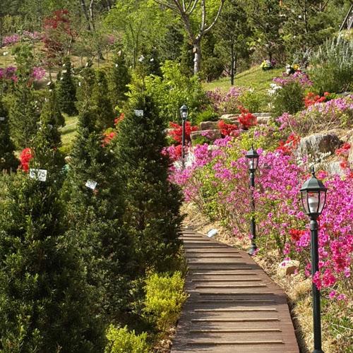 수목장 자연장 by 하늘향 추모공원