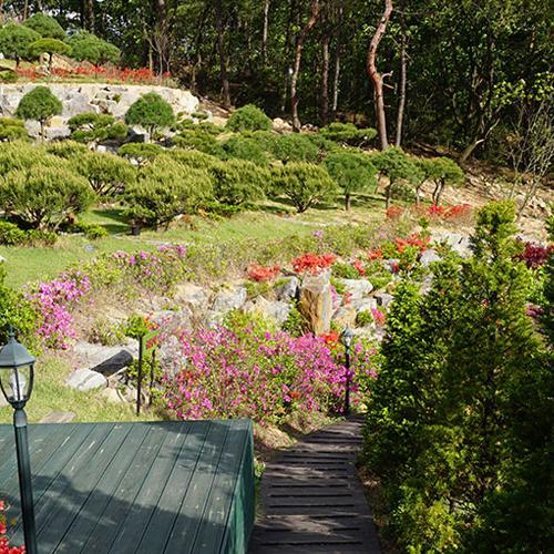 수목장 자연장 by 하늘향 추모공원