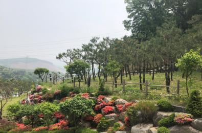 판교수목장