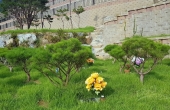 팔당가족수목장