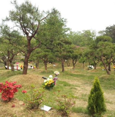 수목장