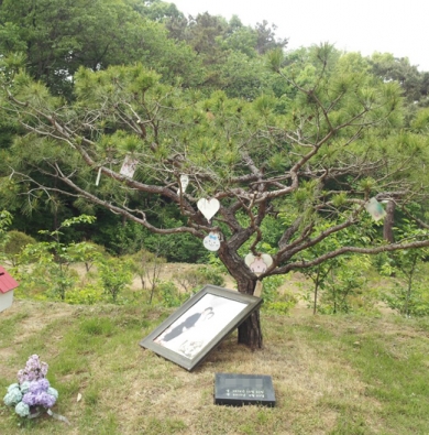 가족수목장