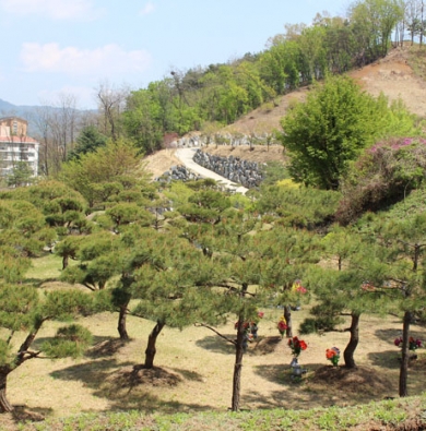 수목장지