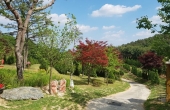 수목장비용