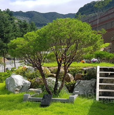 팔당개인수목장