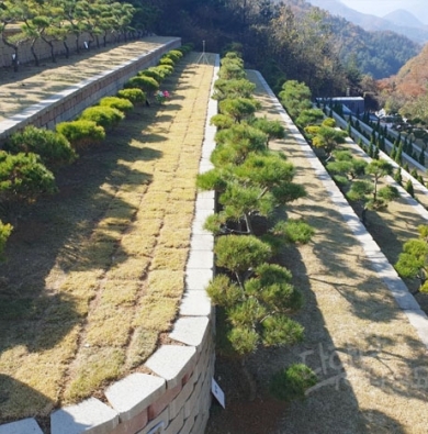 수목장
