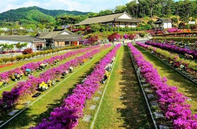 용인 양지수목장