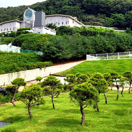 곤지암수목장 by 하늘향 추모공원