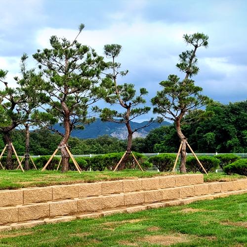 곤지암수목장 by 하늘향 추모공원