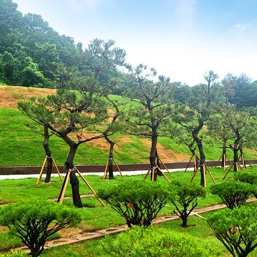 곤지암수목장 by 하늘향 추모공원