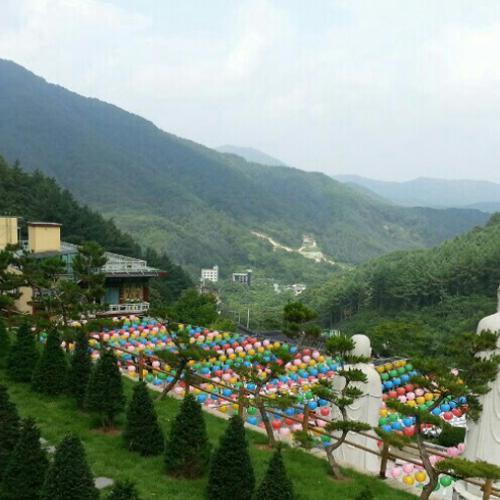 수목장분양 by 하늘향기 추모공원