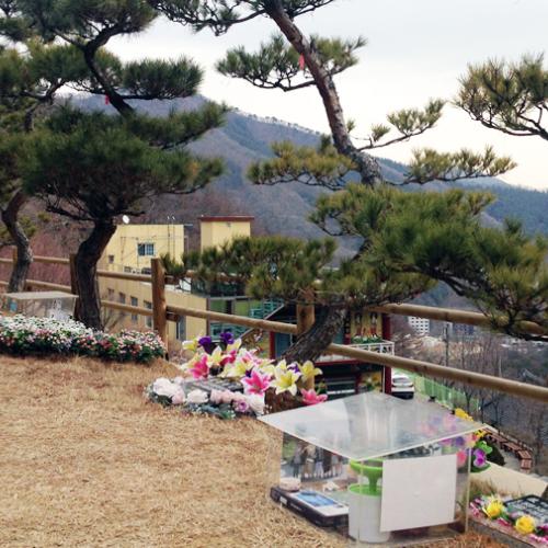 수목장시설 by 하늘향기 추모공원