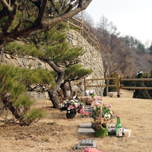 수목장지 by 하늘향기 추모공원