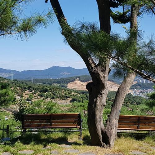 경기도광주수목장지 by 하늘향기 추모공원