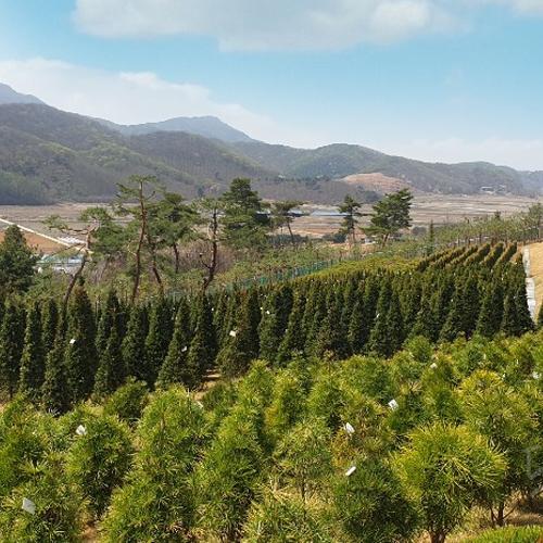 월곶수목장 by 하늘향 추모공원