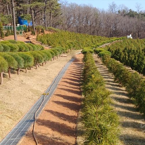 월곶수목장 by 하늘향 추모공원